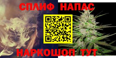 СК Донецк