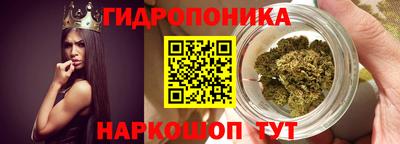 амф Донской