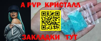 амф Донской