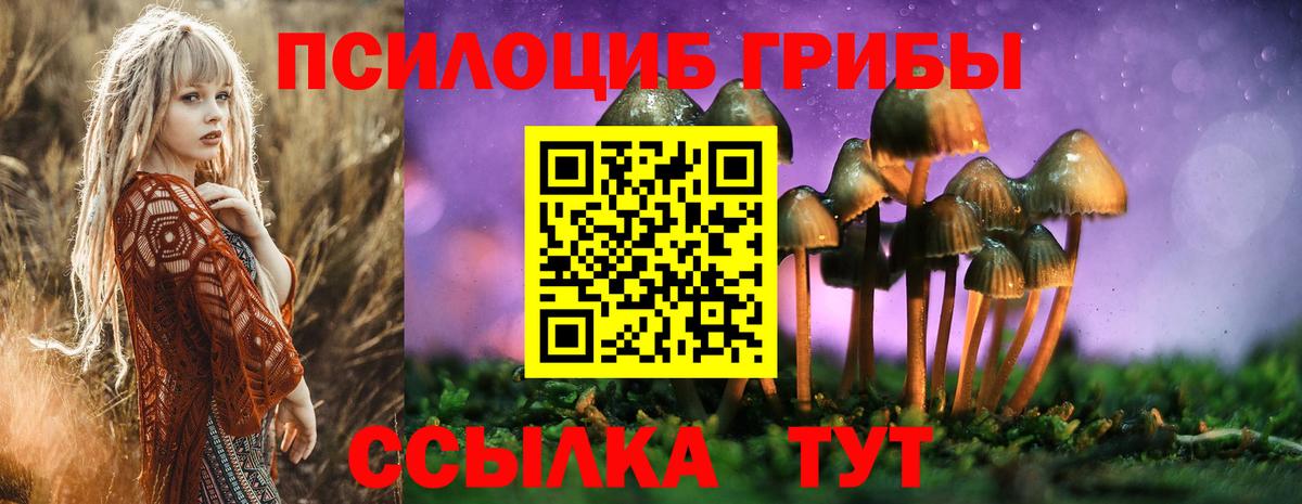 Псилоцибиновые грибы Psilocybine cubensis  Вход с VPN  магазин продажи наркотиков  Минеральные Воды 